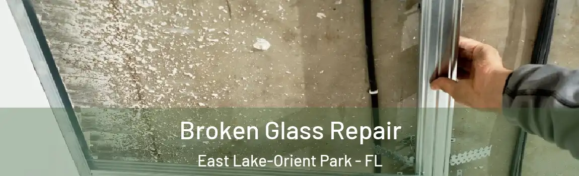  Broken Glass Repair East Lake-Orient Park - FL