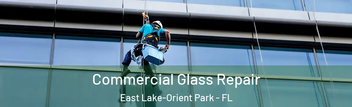Commercial Glass Repair East Lake-Orient Park - FL