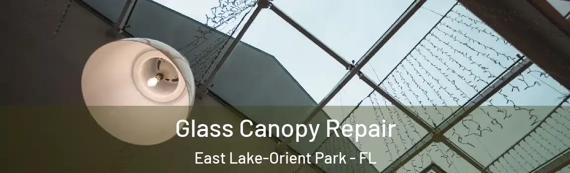 Glass Canopy Repair East Lake-Orient Park - FL