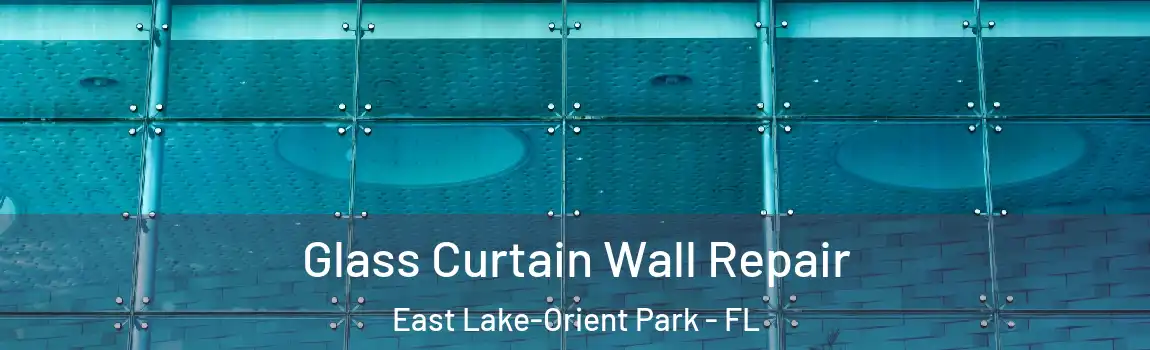 Glass Curtain Wall Repair East Lake-Orient Park - FL