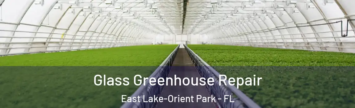 Glass Greenhouse Repair East Lake-Orient Park - FL
