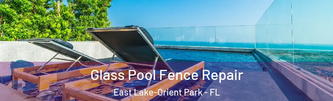Glass Pool Fence Repair East Lake-Orient Park - FL