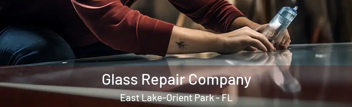 Glass Repair Company East Lake-Orient Park - FL