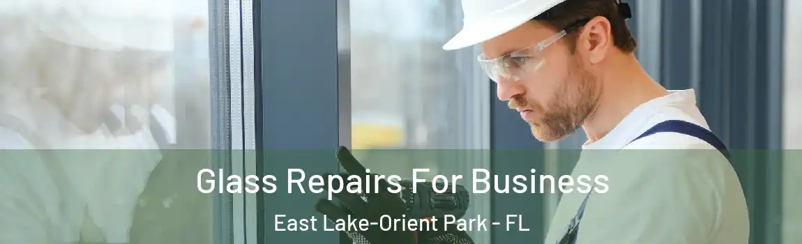  Glass Repairs For Business East Lake-Orient Park - FL