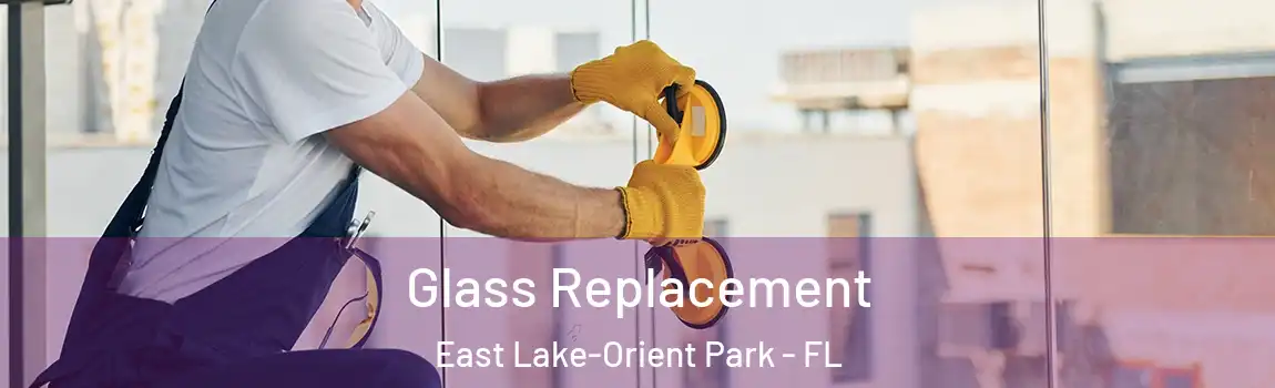  Glass Replacement East Lake-Orient Park - FL