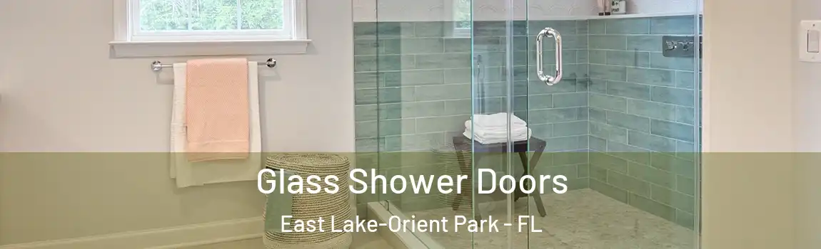  Glass Shower Doors East Lake-Orient Park - FL