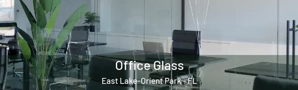  Office Glass East Lake-Orient Park - FL