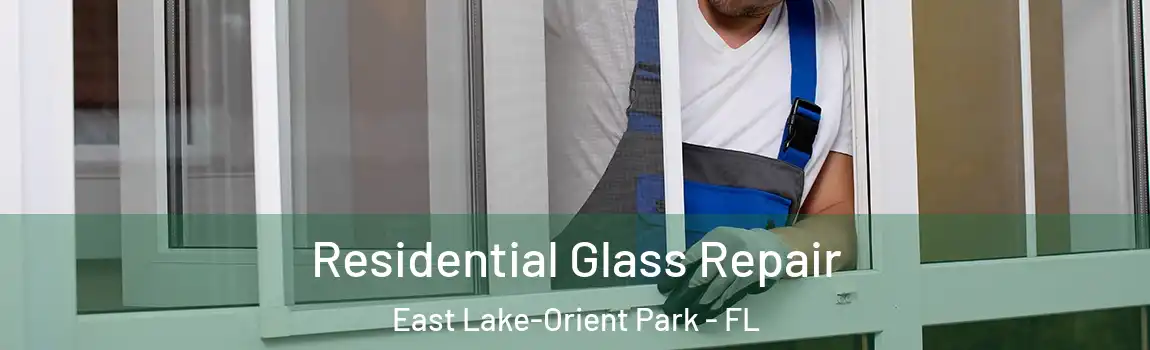 Residential Glass Repair East Lake-Orient Park - FL