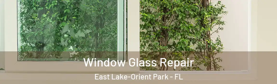  Window Glass Repair East Lake-Orient Park - FL