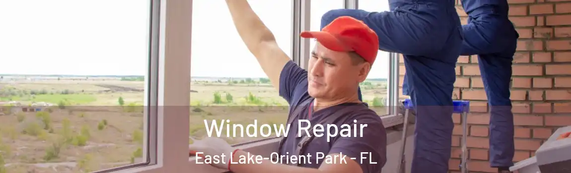  Window Repair East Lake-Orient Park - FL