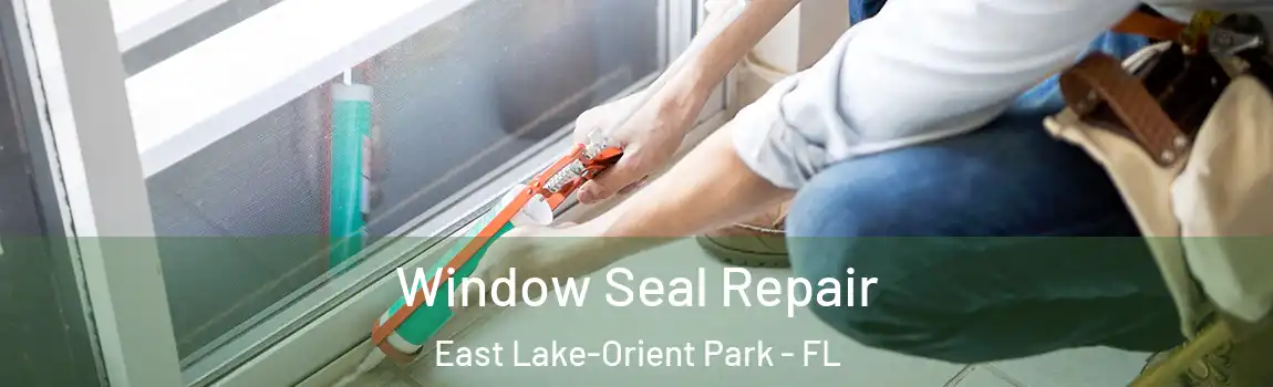  Window Seal Repair East Lake-Orient Park - FL